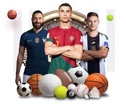 开云·体育（官网）APP下载